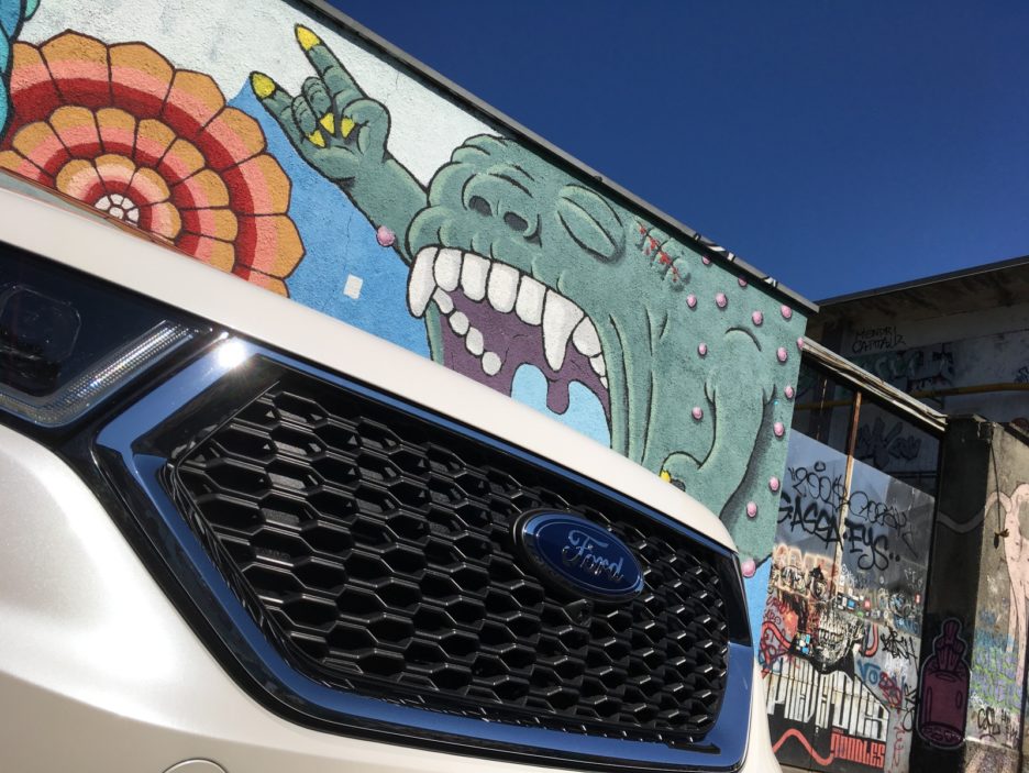 Ford Edge mascherina