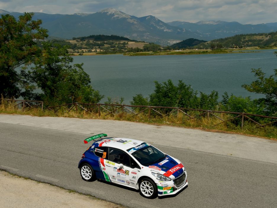 Paolo Andreucci, David Castiglioni (Peugeot 208 T16 #20, FPF Sport)