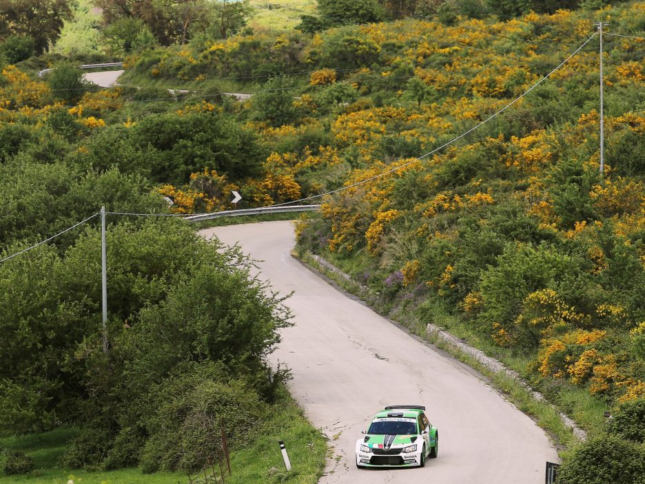 Umberto Scandola, Guido DAmore (Skoda Fabia R5 #4, Daytona Race)