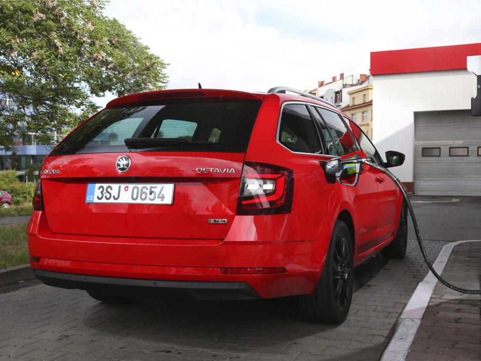 OCTAVIA-G-TEC-05