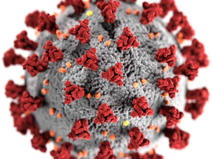 Coronavirus