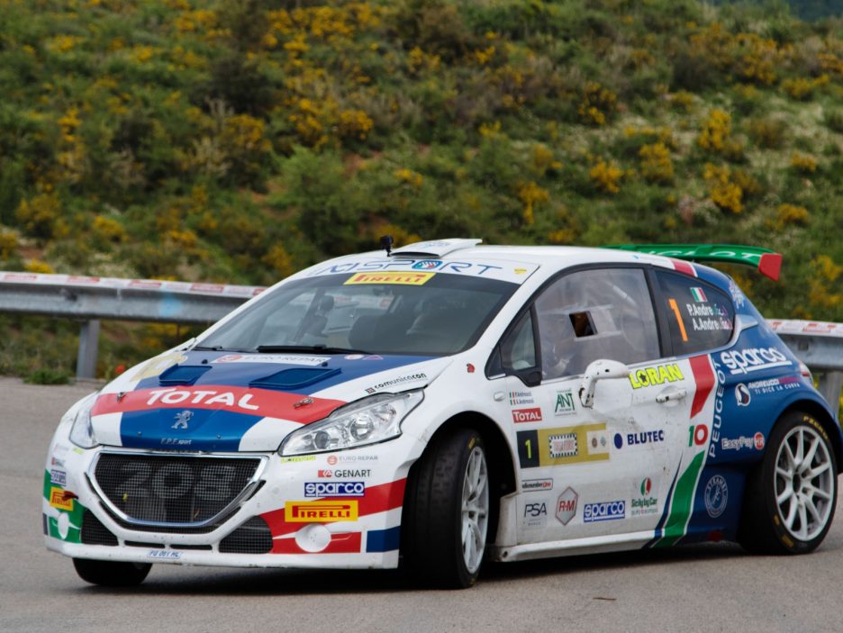 Paolo Andreucci, Anna Andreussi (Peugeot 208 T16 R5 #1, FPF Sport)