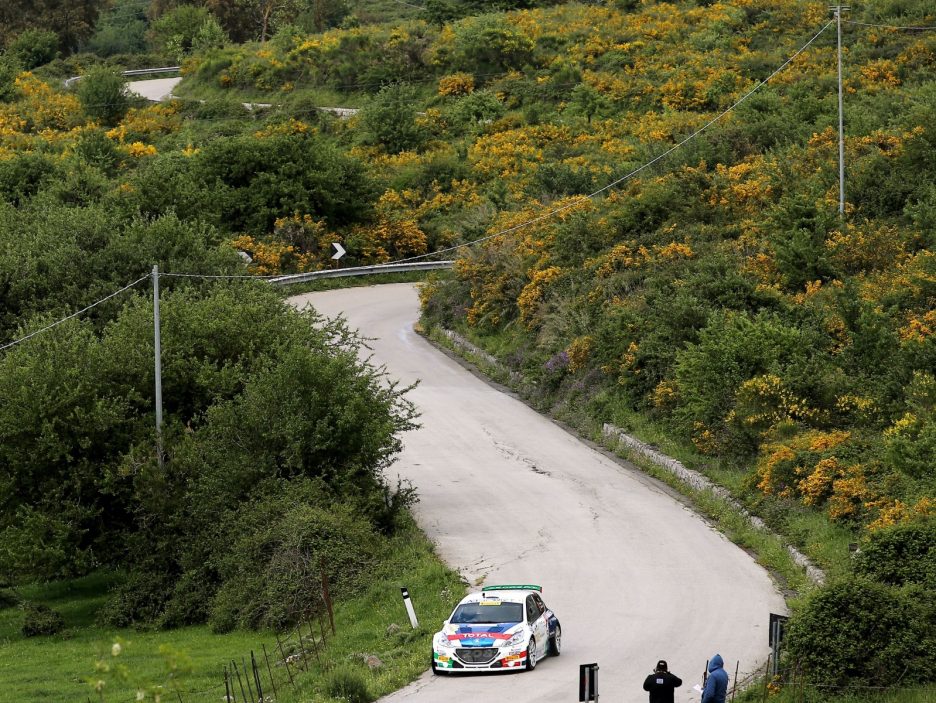 Paolo Andreucci, Anna Andreussi (Peugeot 208 T16 R5 #1, FPF Sport)