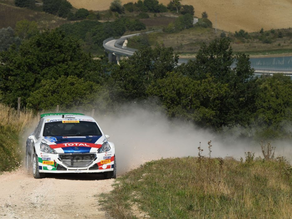 Paolo Andreucci, Anna Andreussi (Peugeot 208 T16 R5 #1, FPF)